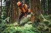 Afbeeldingen van Stihl MS 300 C-M Kettingzaag