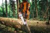 Afbeeldingen van Stihl MS 300 C-M Kettingzaag
