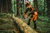 Afbeeldingen van Stihl MS 300 C-M Kettingzaag